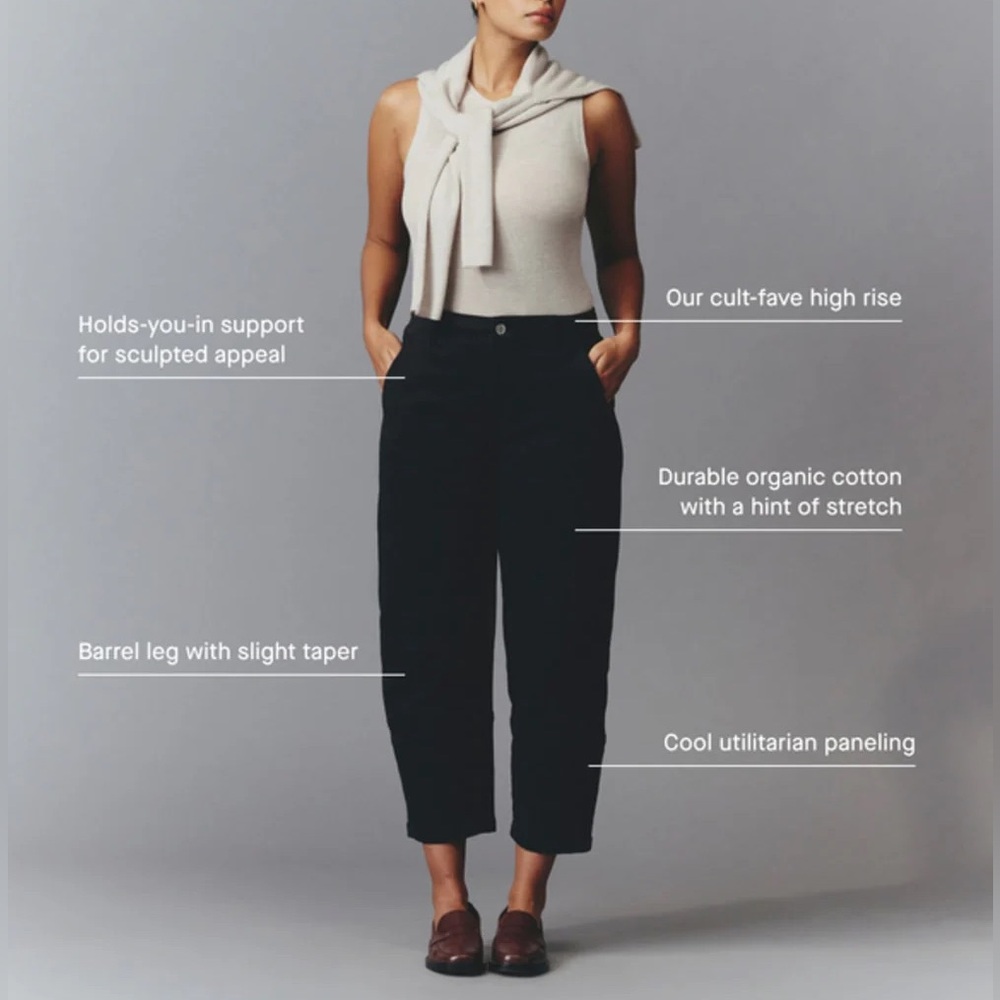 Everlane Utility Barrel Pant in Rosewood, 6 - Picture 5 of 11